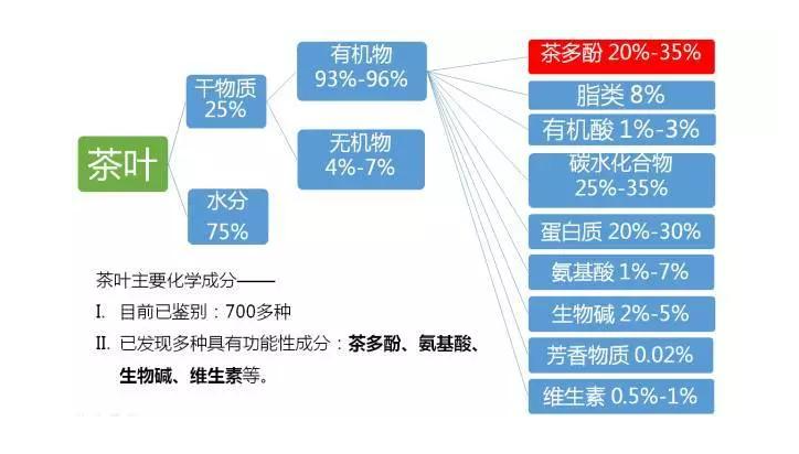 喝茶可以養(yǎng)生，哪種茶最健康呢？